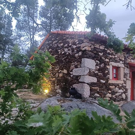 Willa Casa Do Feitor - Douro - Quinta Da Cabrida Sendim  Zewnętrze zdjęcie