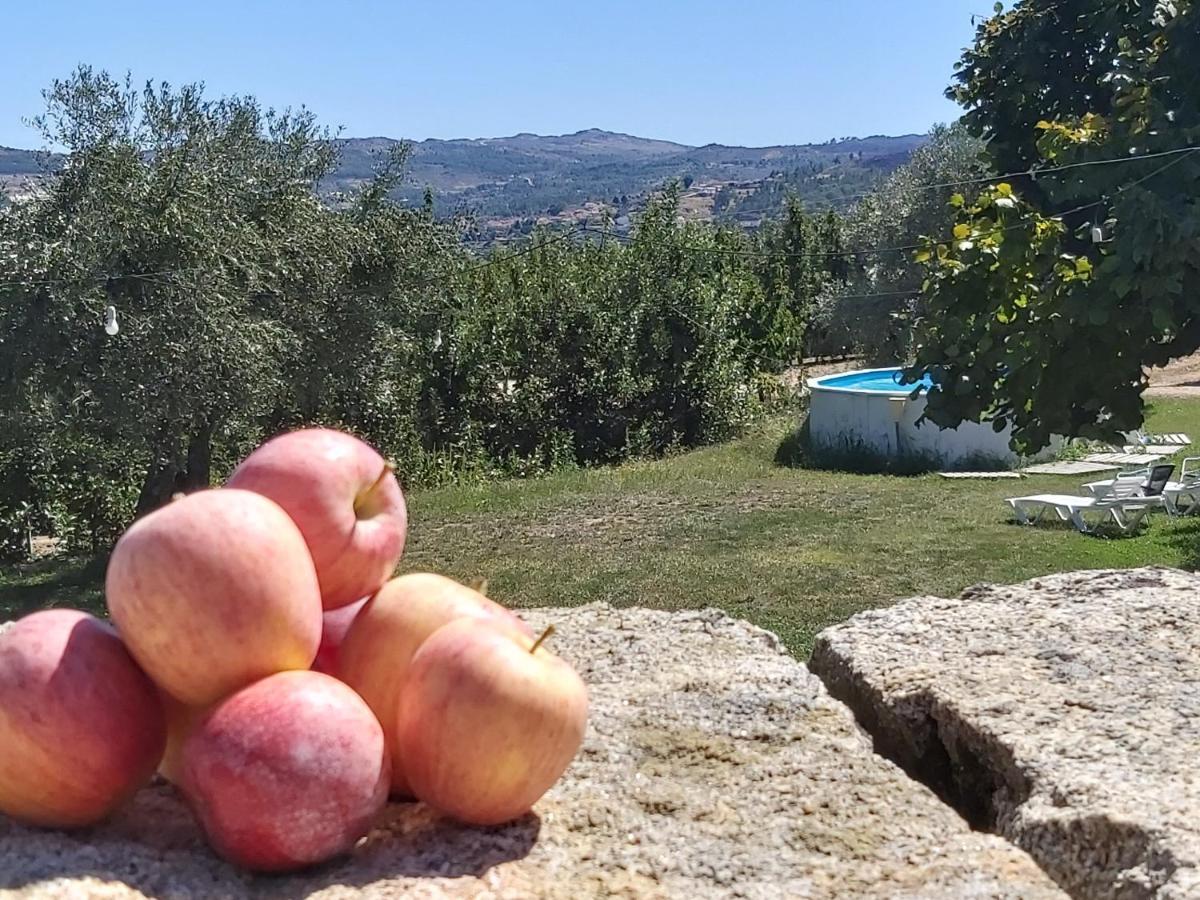 Willa Casa Do Feitor - Douro - Quinta Da Cabrida Sendim  Zewnętrze zdjęcie
