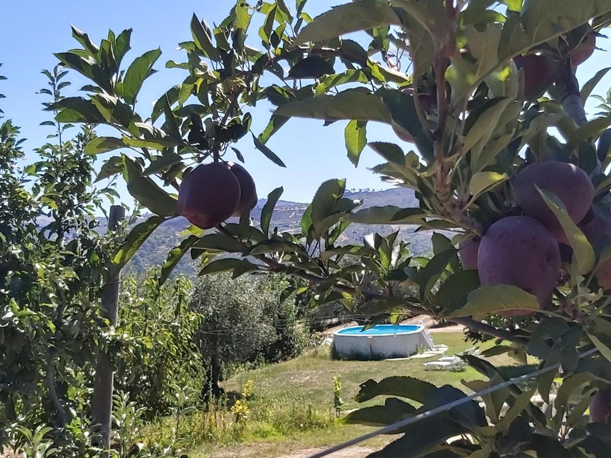 Willa Casa Do Feitor - Douro - Quinta Da Cabrida Sendim  Zewnętrze zdjęcie