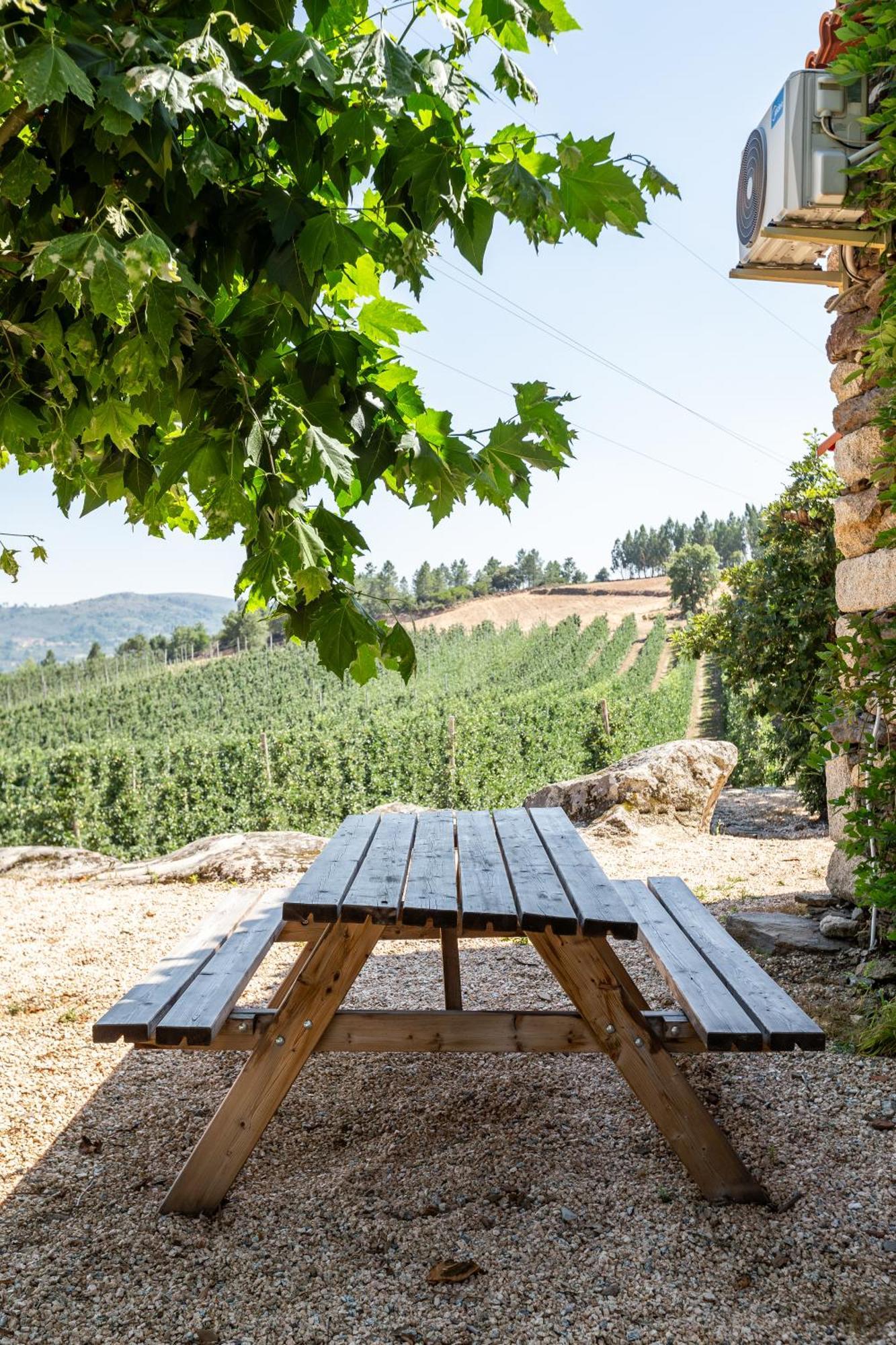 Willa Casa Do Feitor - Douro - Quinta Da Cabrida Sendim  Zewnętrze zdjęcie