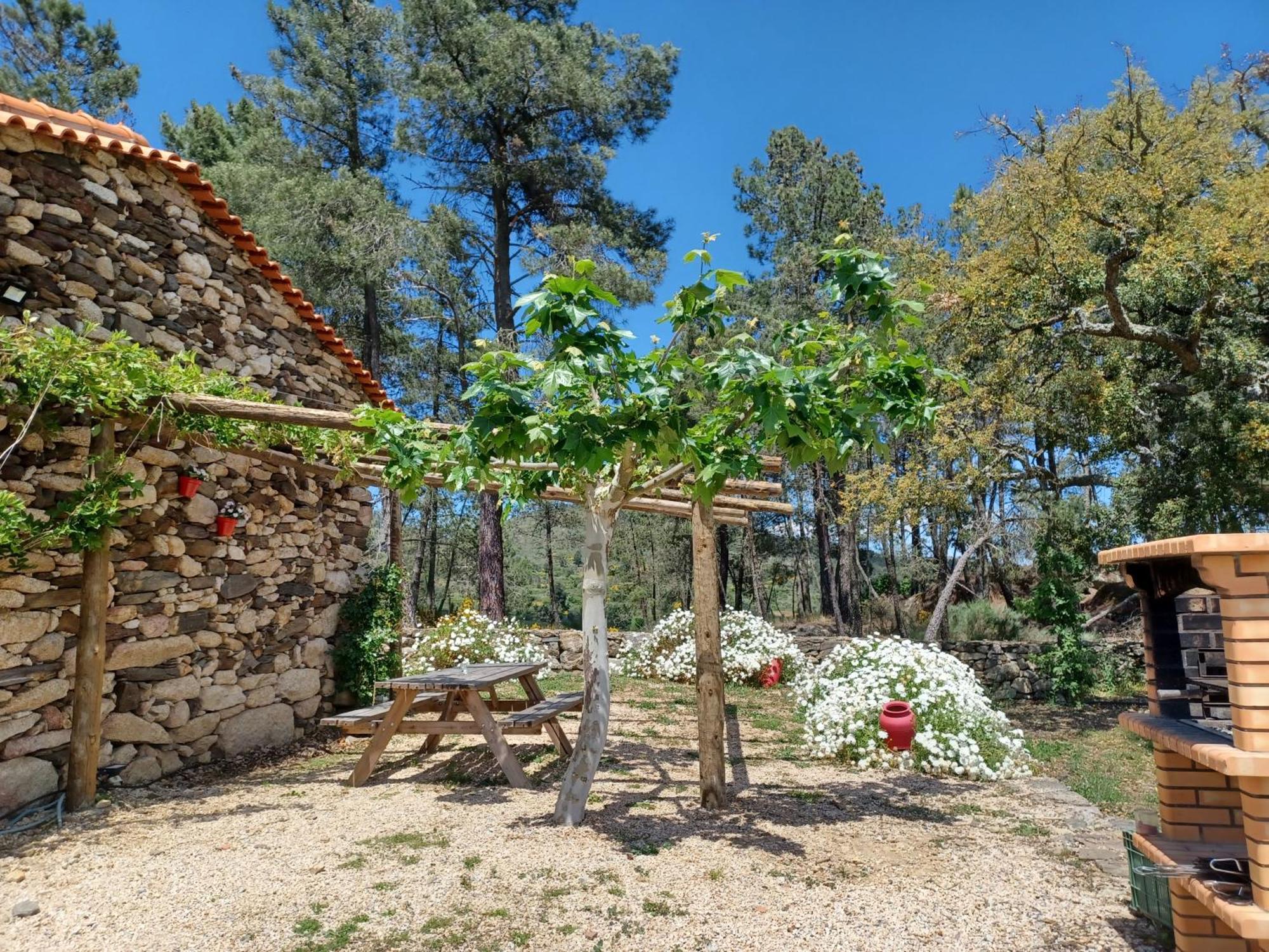 Willa Casa Do Feitor - Douro - Quinta Da Cabrida Sendim  Zewnętrze zdjęcie