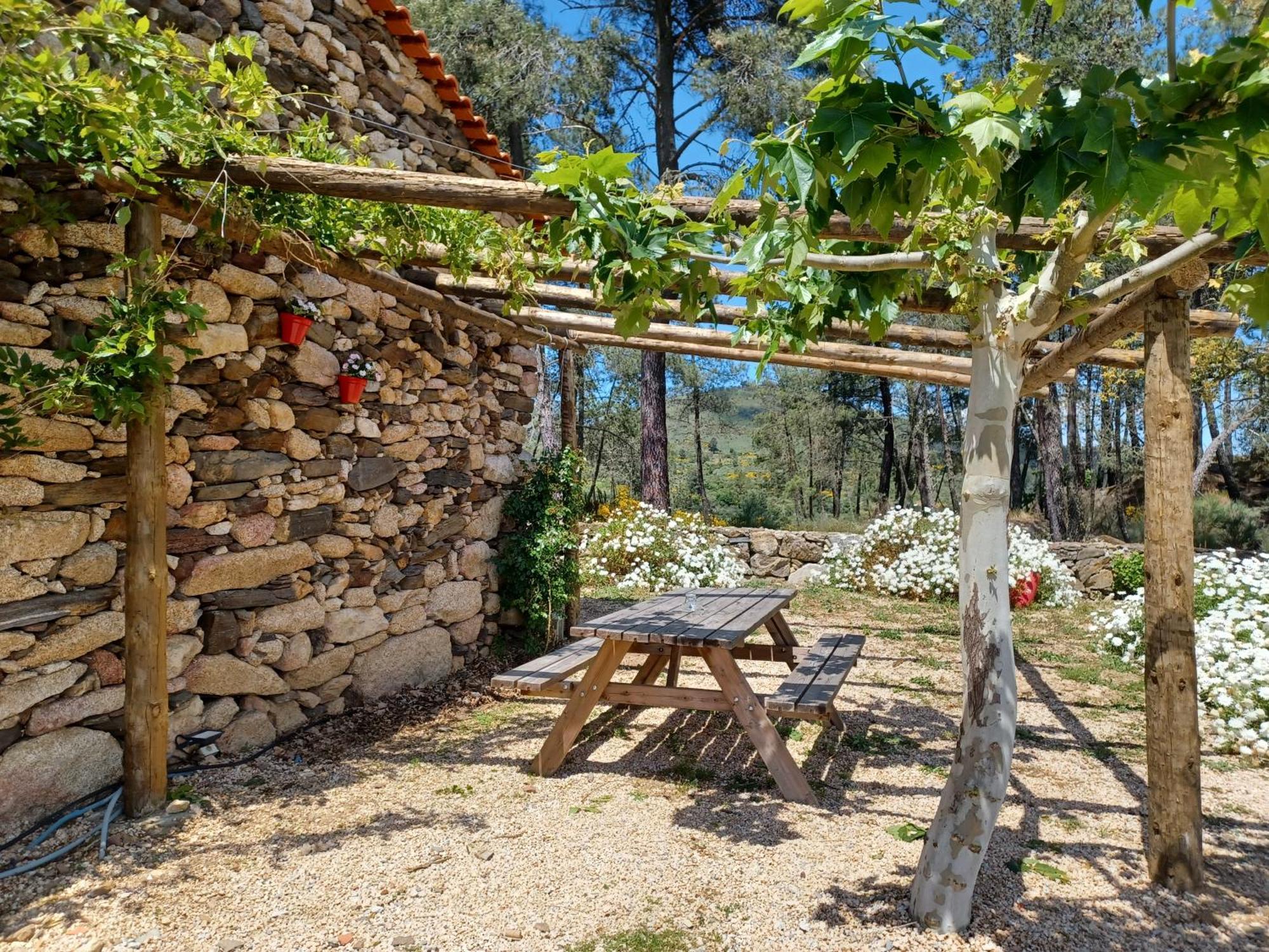 Willa Casa Do Feitor - Douro - Quinta Da Cabrida Sendim  Zewnętrze zdjęcie