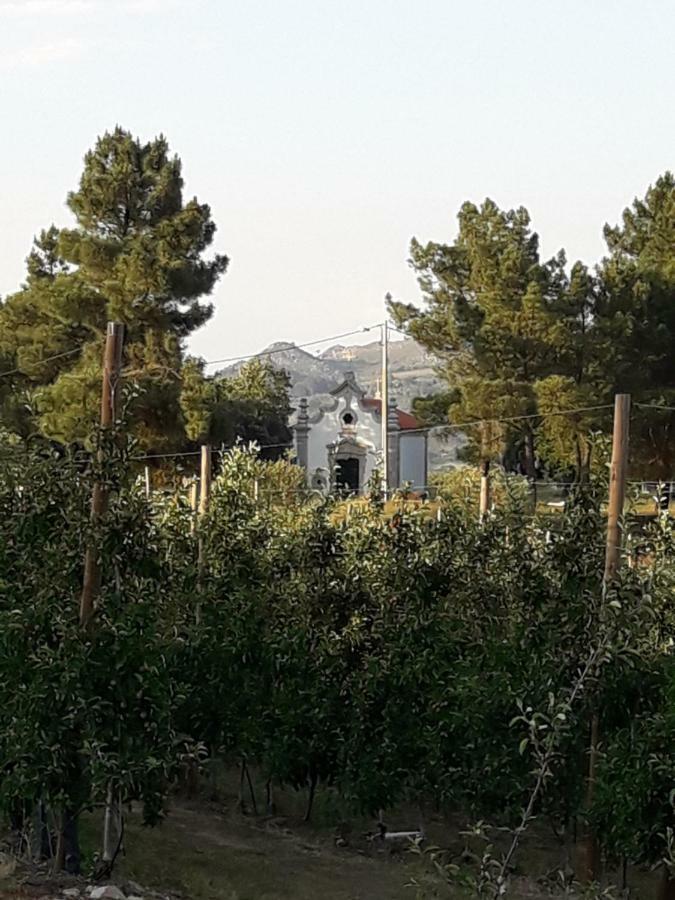 Willa Casa Do Feitor - Douro - Quinta Da Cabrida Sendim  Zewnętrze zdjęcie