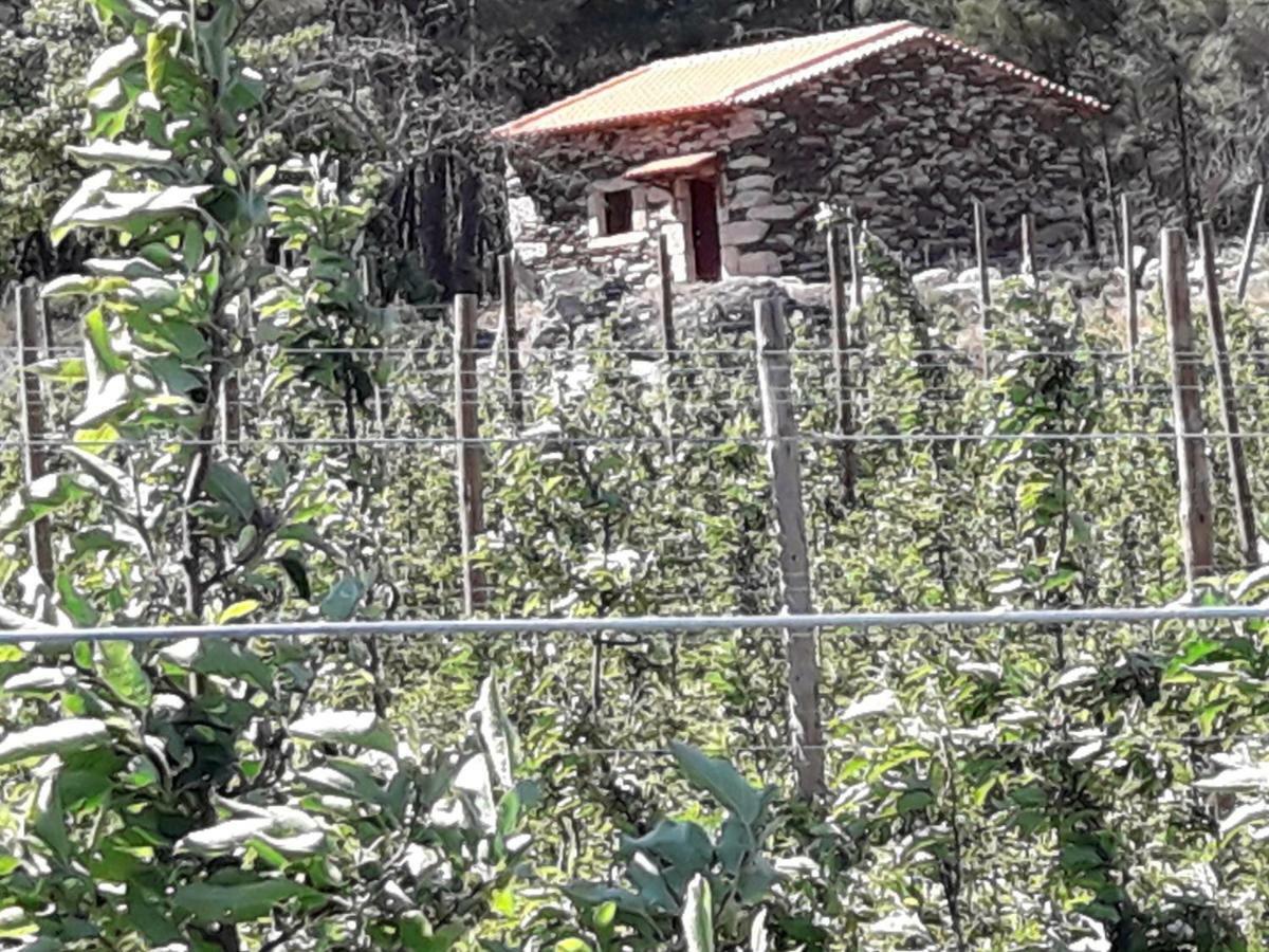 Willa Casa Do Feitor - Douro - Quinta Da Cabrida Sendim  Zewnętrze zdjęcie