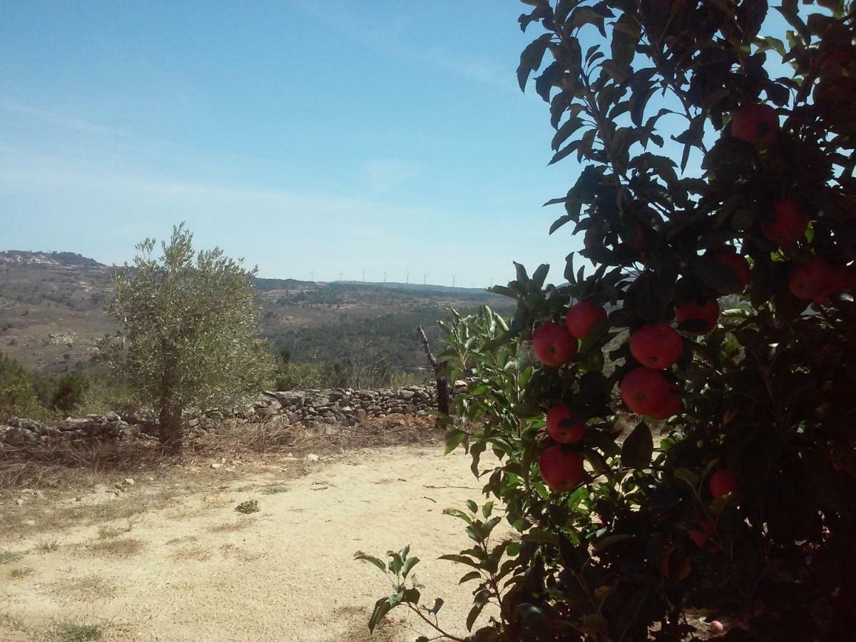 Willa Casa Do Feitor - Douro - Quinta Da Cabrida Sendim  Zewnętrze zdjęcie