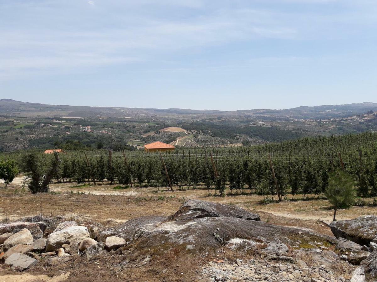 Willa Casa Do Feitor - Douro - Quinta Da Cabrida Sendim  Zewnętrze zdjęcie