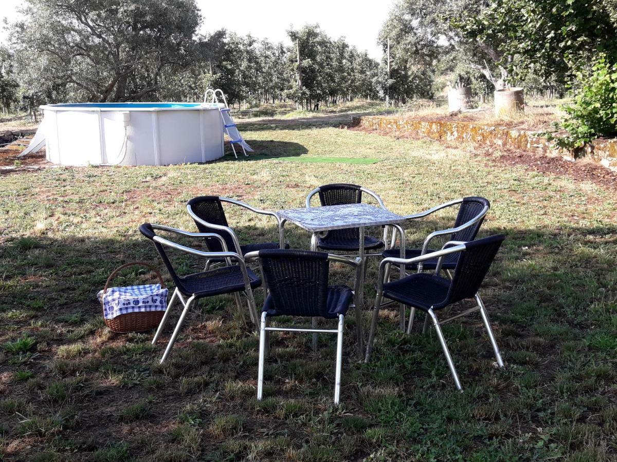 Willa Casa Do Feitor - Douro - Quinta Da Cabrida Sendim  Zewnętrze zdjęcie