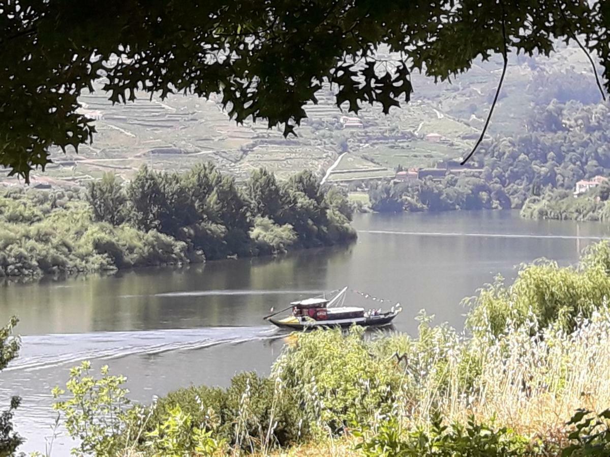 Willa Casa Do Feitor - Douro - Quinta Da Cabrida Sendim  Zewnętrze zdjęcie