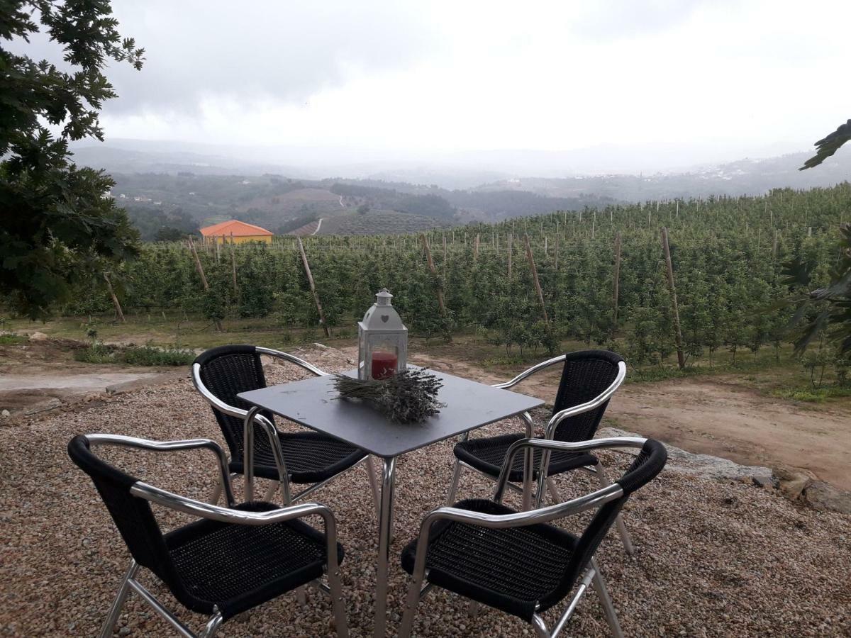 Willa Casa Do Feitor - Douro - Quinta Da Cabrida Sendim  Zewnętrze zdjęcie