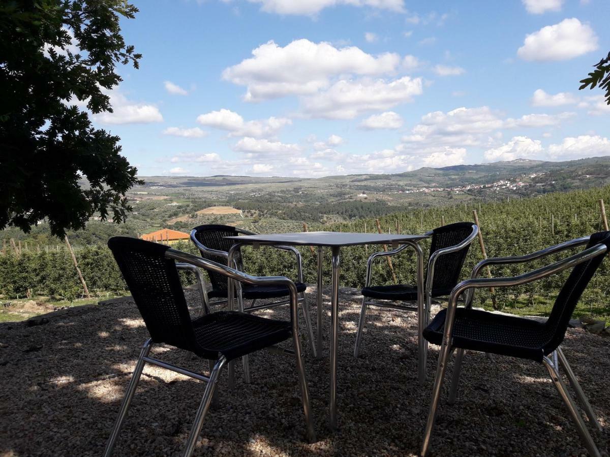 Willa Casa Do Feitor - Douro - Quinta Da Cabrida Sendim  Zewnętrze zdjęcie