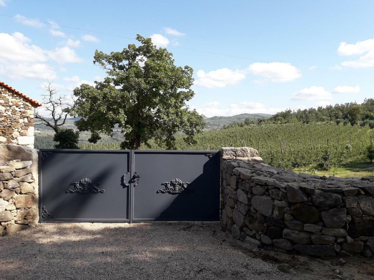 Willa Casa Do Feitor - Douro - Quinta Da Cabrida Sendim  Zewnętrze zdjęcie