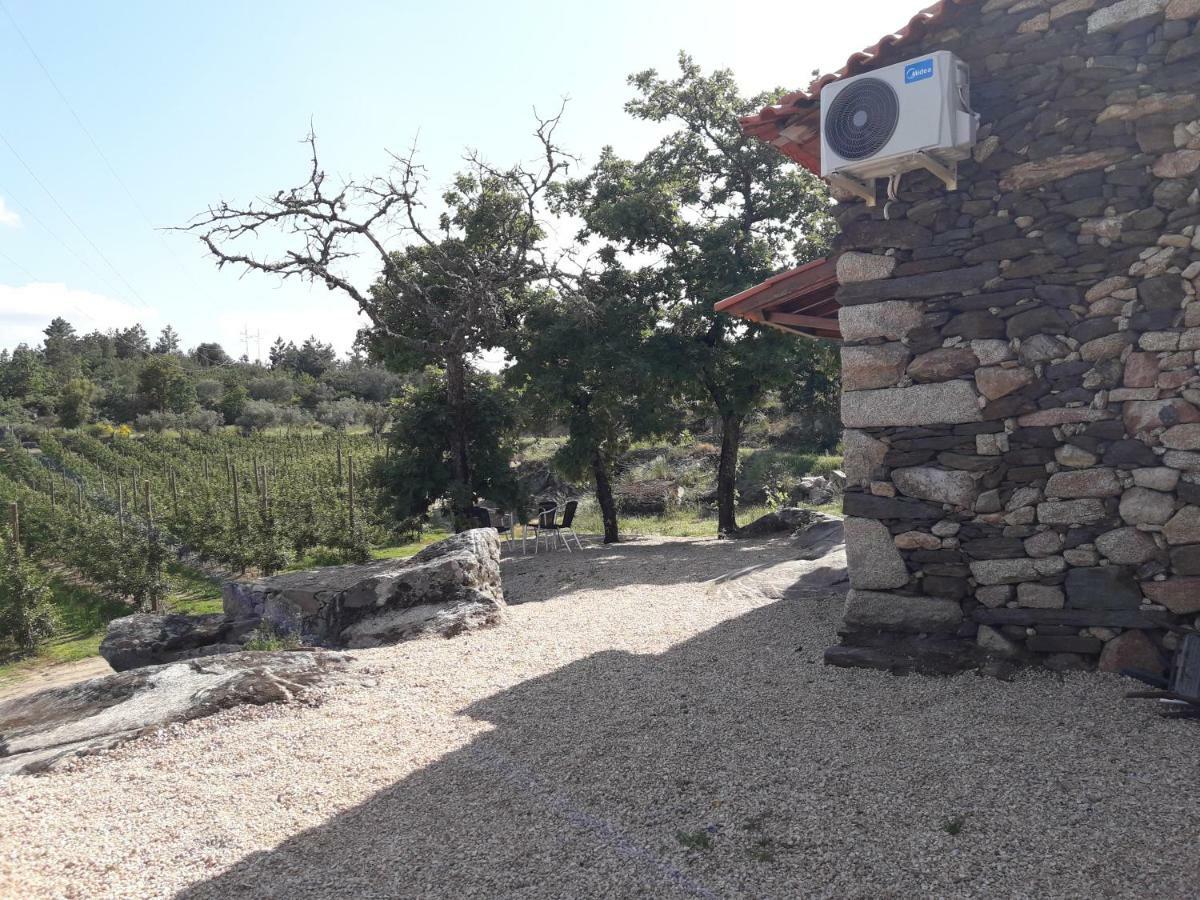 Willa Casa Do Feitor - Douro - Quinta Da Cabrida Sendim  Zewnętrze zdjęcie