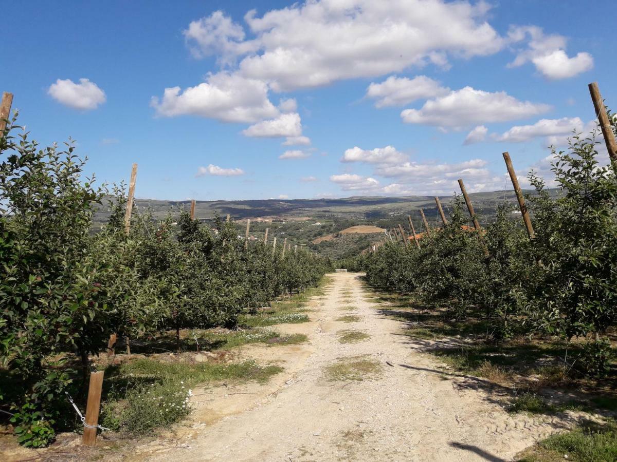 Willa Casa Do Feitor - Douro - Quinta Da Cabrida Sendim  Zewnętrze zdjęcie
