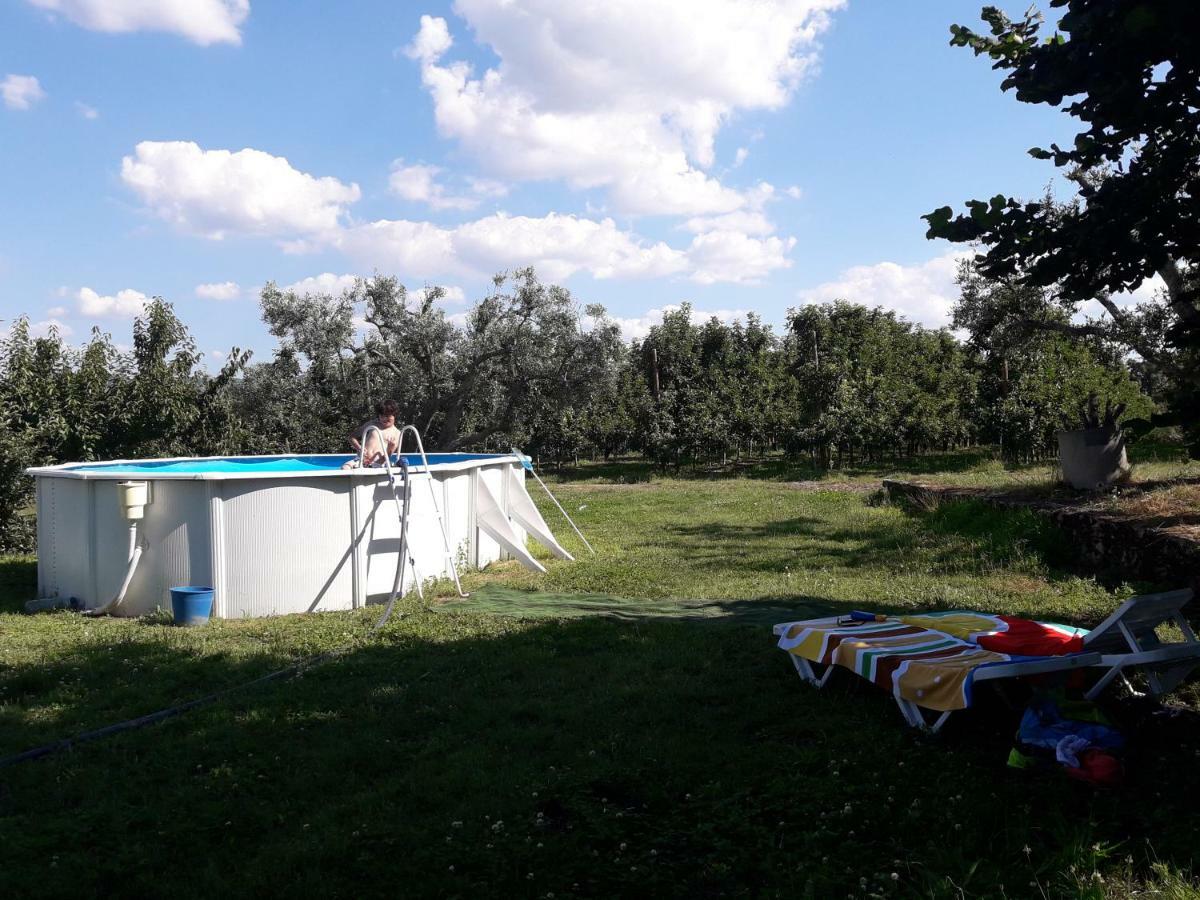 Willa Casa Do Feitor - Douro - Quinta Da Cabrida Sendim  Zewnętrze zdjęcie