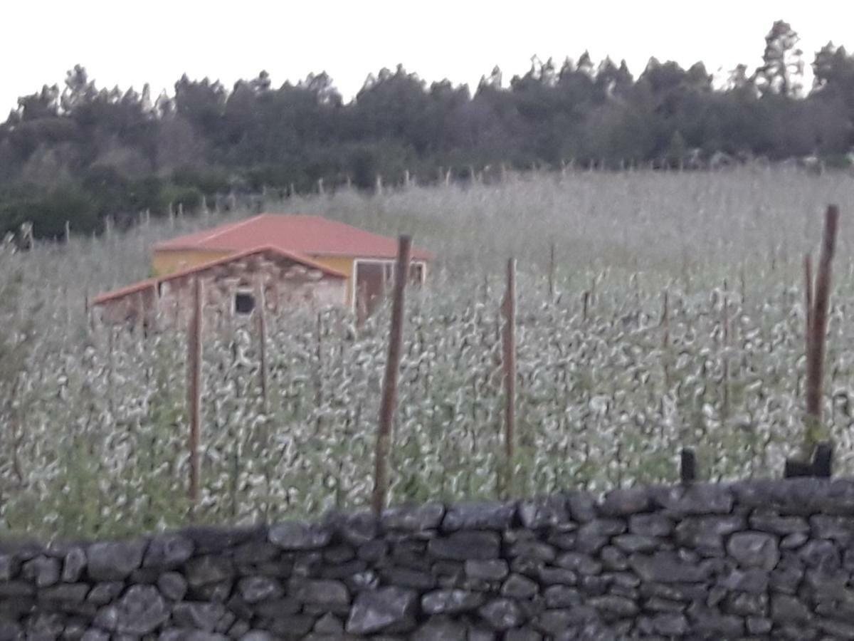 Willa Casa Do Feitor - Douro - Quinta Da Cabrida Sendim  Zewnętrze zdjęcie