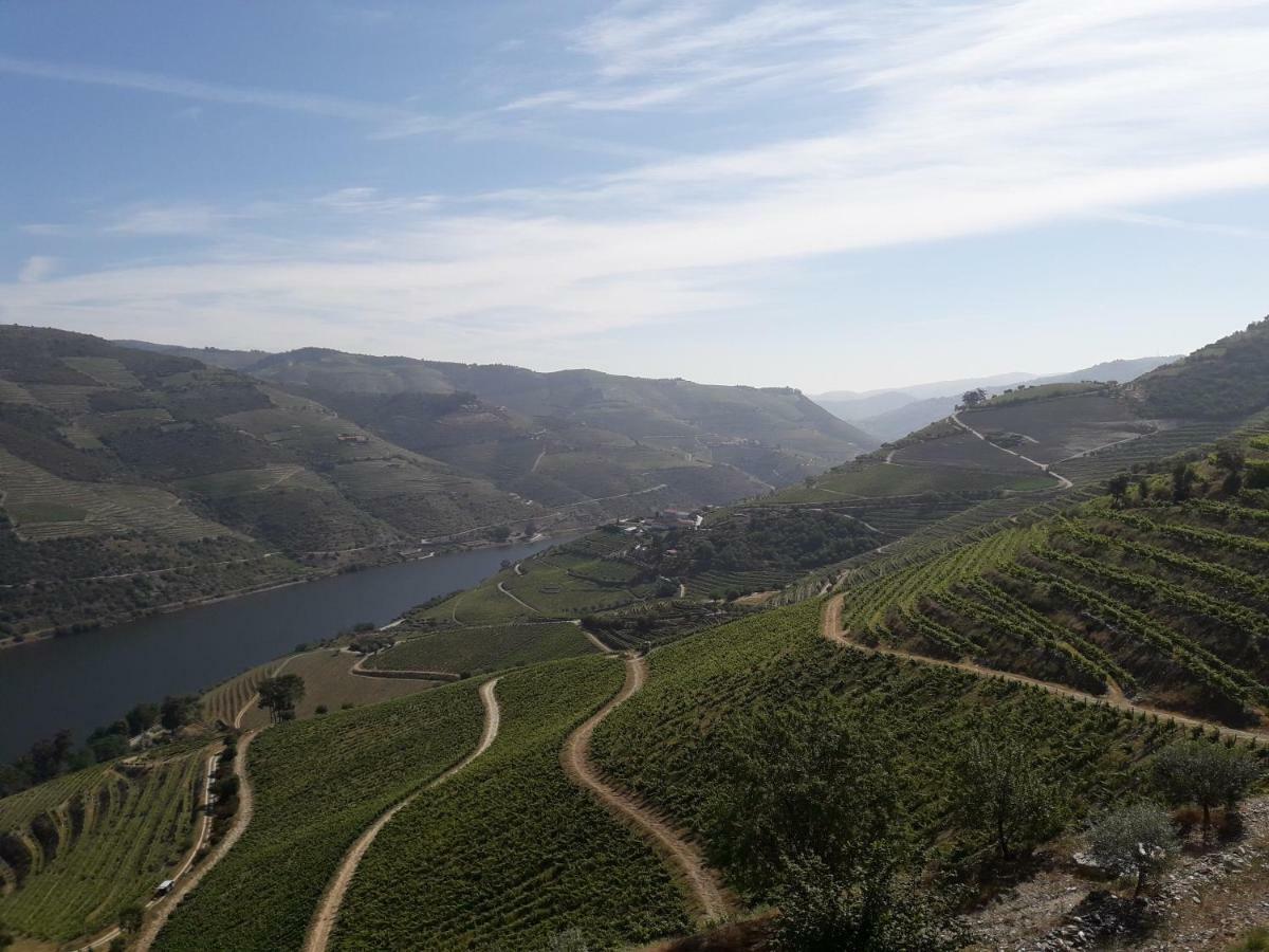 Willa Casa Do Feitor - Douro - Quinta Da Cabrida Sendim  Zewnętrze zdjęcie