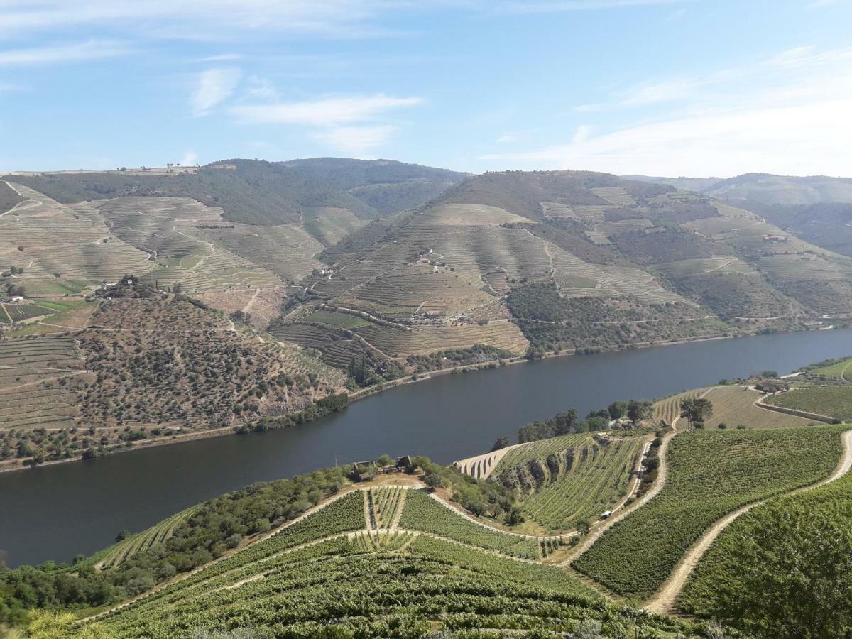 Willa Casa Do Feitor - Douro - Quinta Da Cabrida Sendim  Zewnętrze zdjęcie