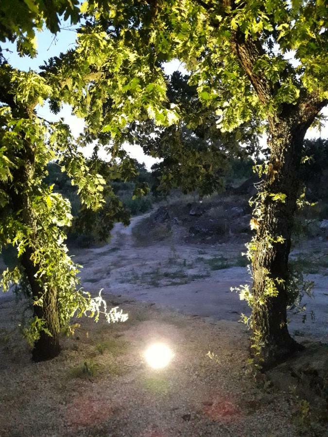 Willa Casa Do Feitor - Douro - Quinta Da Cabrida Sendim  Zewnętrze zdjęcie