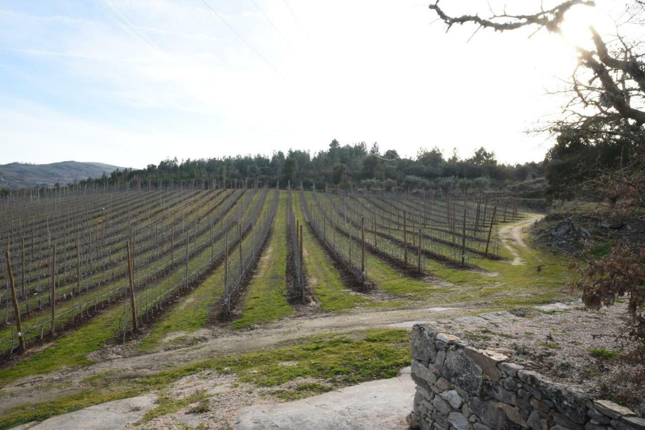 Willa Casa Do Feitor - Douro - Quinta Da Cabrida Sendim  Zewnętrze zdjęcie