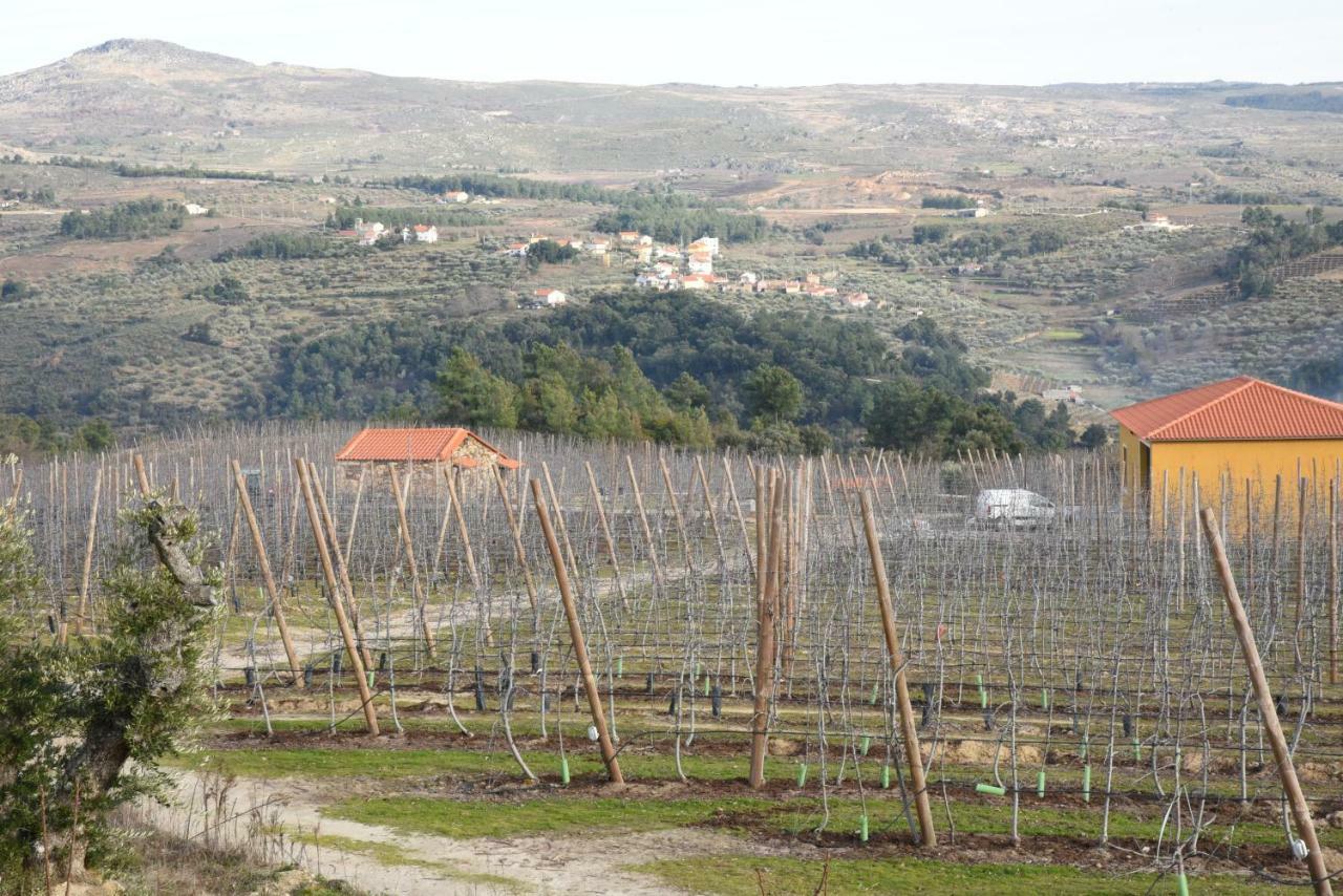Willa Casa Do Feitor - Douro - Quinta Da Cabrida Sendim  Zewnętrze zdjęcie